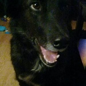 Meet your Posher, Zoe